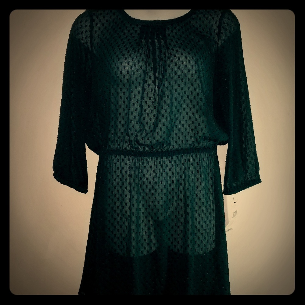 DKNY Green Sheer Dress Size Large New With Tags